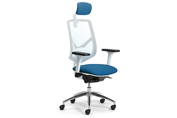 sedie-ergonomiche-p-telelavoro-da-casa-active-re